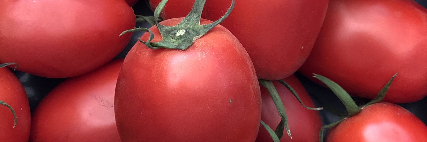 organicaja's profile banner image