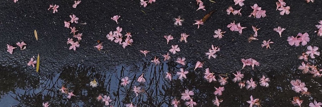 dawokoii's profile banner image