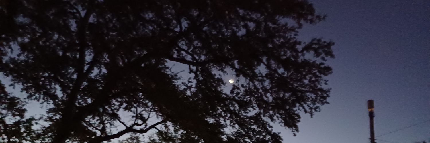 NativeTexanTx's profile banner image