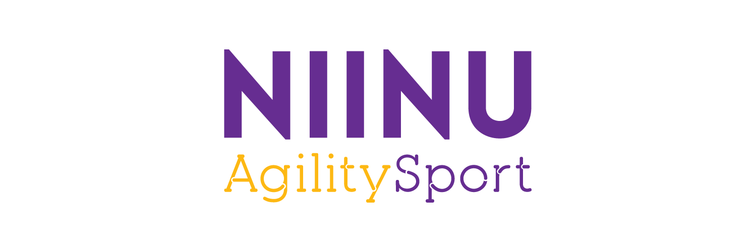 NiinuAgility's profile banner image
