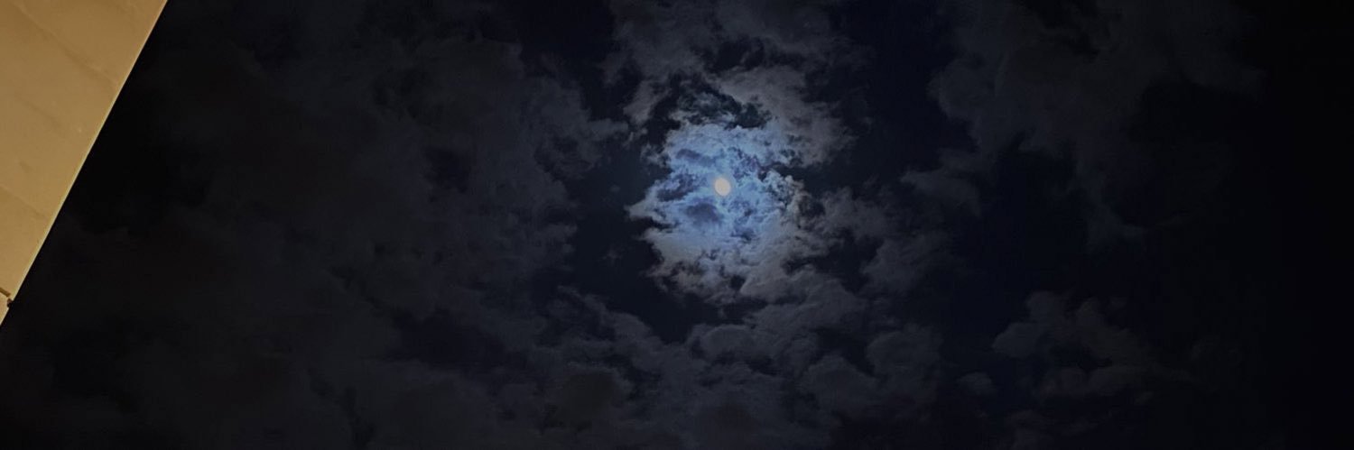 shiliyl's profile banner image