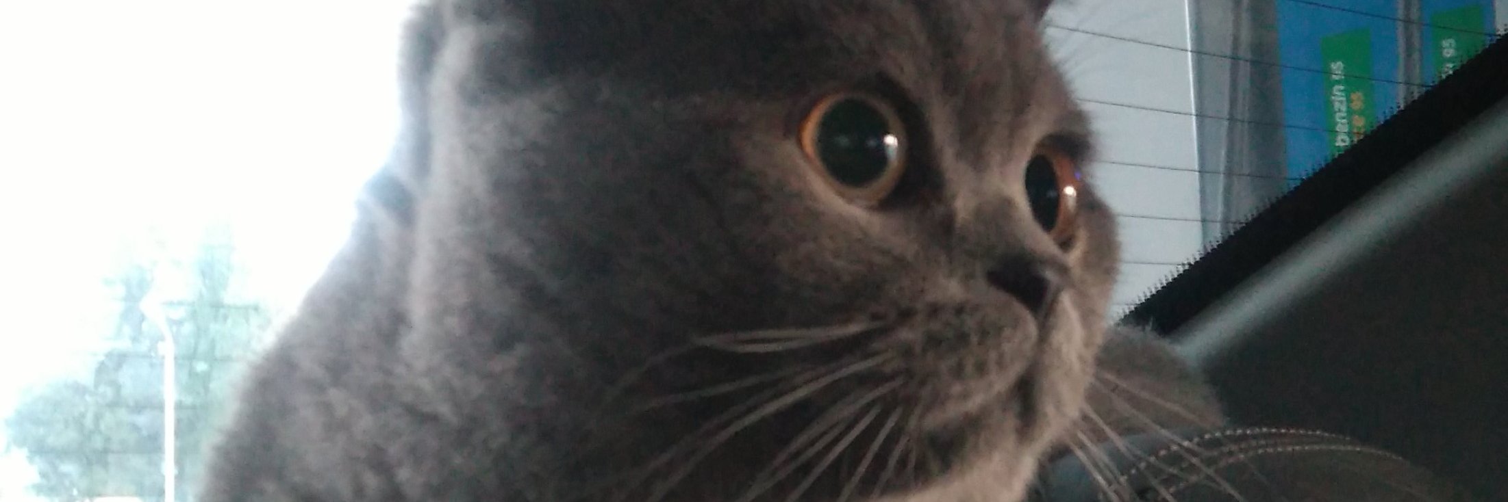 smileruh's profile banner image