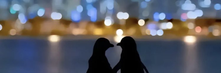 _halfdemoon's profile banner image