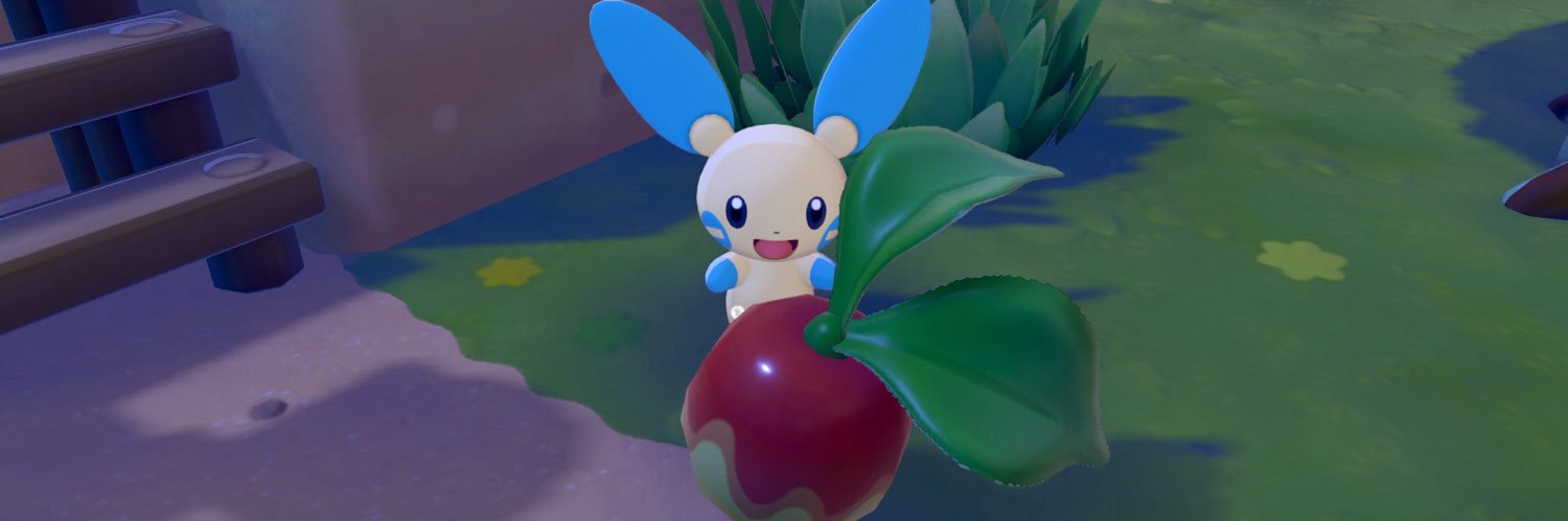 Short King Orly 👑 banner