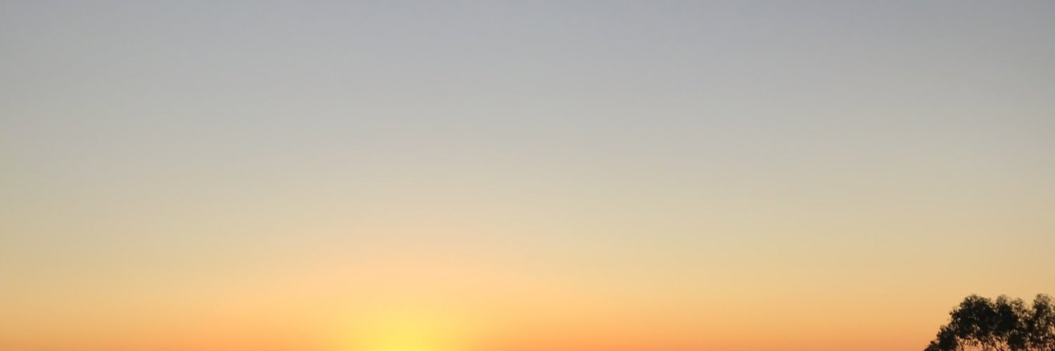 gdewitt1's profile banner image