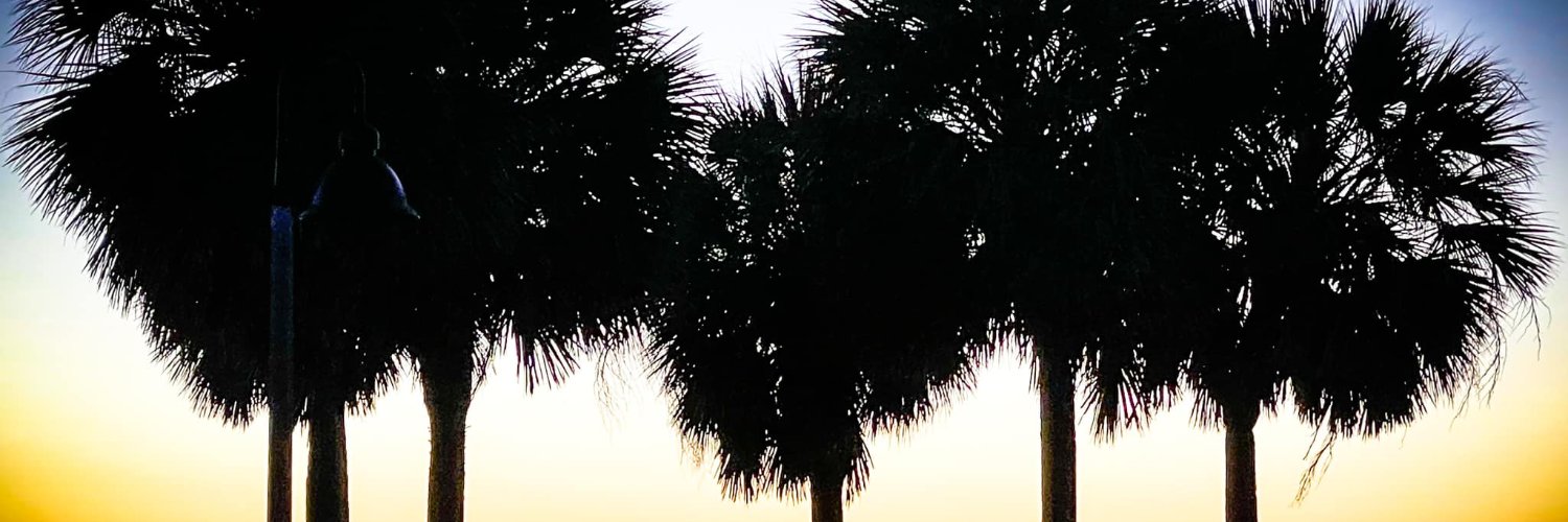BeckyLeeNFT's profile banner image