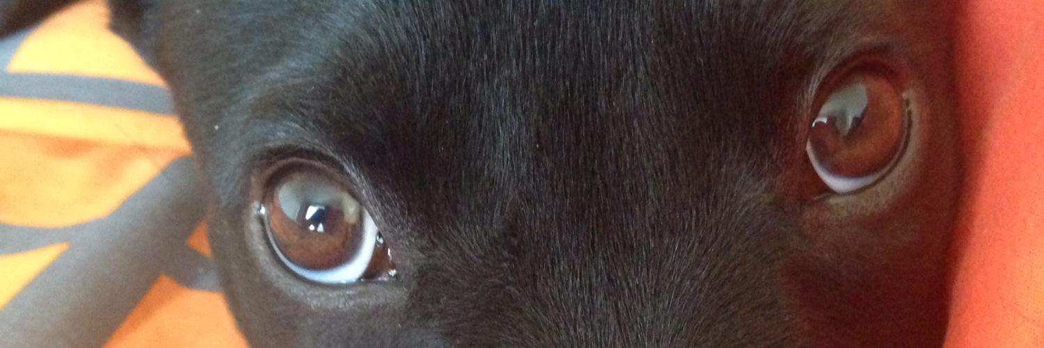 maridunzz's profile banner image