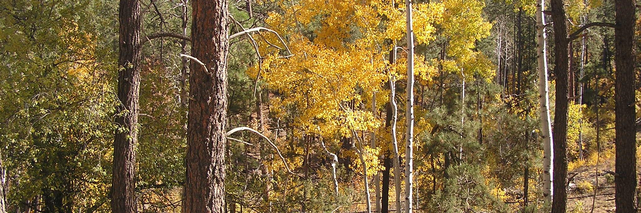 resource643's profile banner image