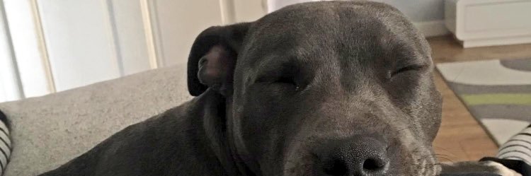 Danielle_Wood89's profile banner image