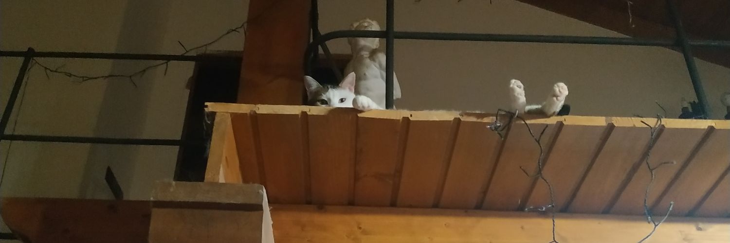 SEÑORA banner