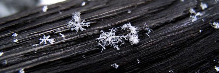 jessaebeth's profile banner image