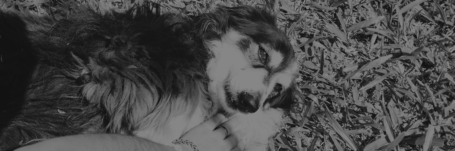sofibenitez15's profile banner image