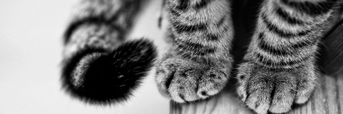Ester_Hey's profile banner image