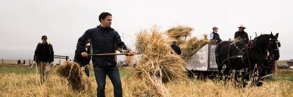 YYCist Profile Banner