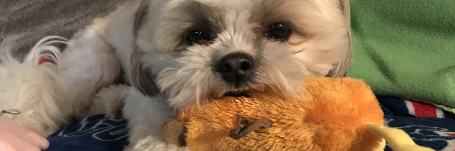 Gfly23's profile banner image