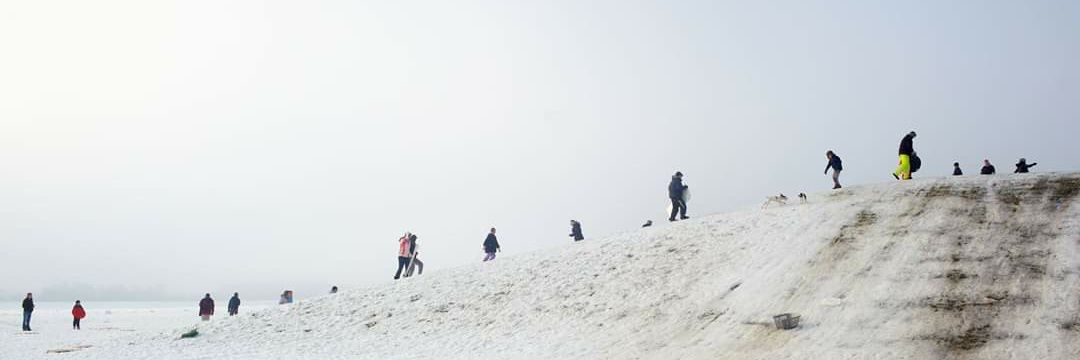 Tommie Lehane banner