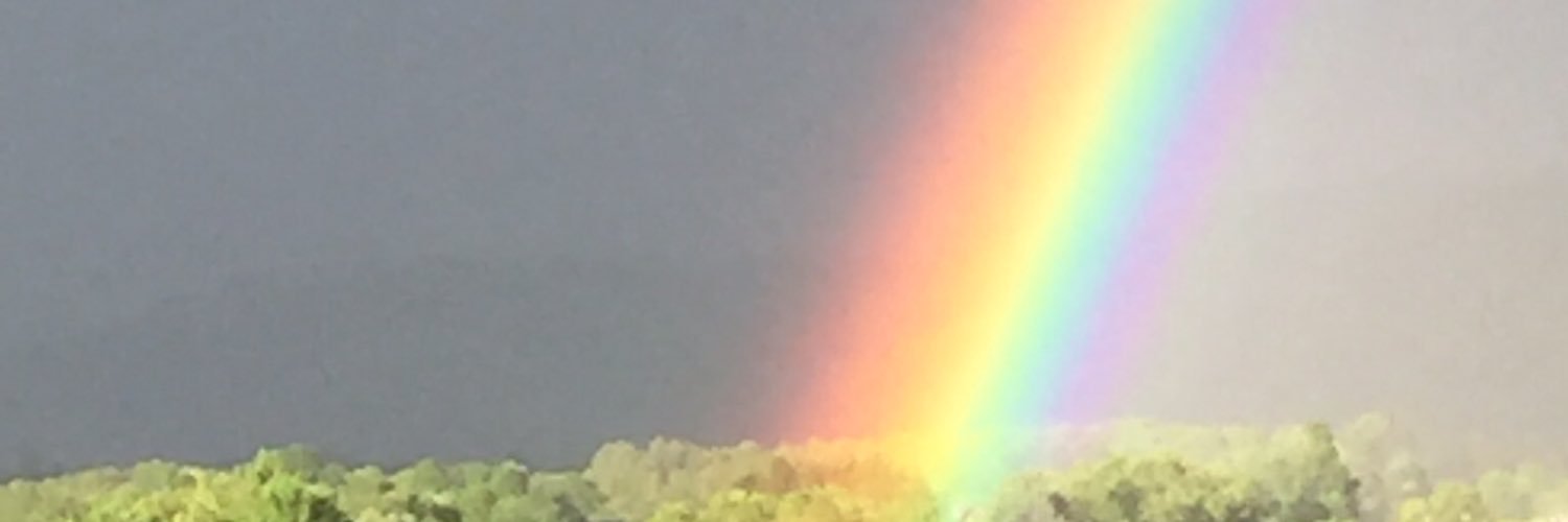 HashtagGib's profile banner image
