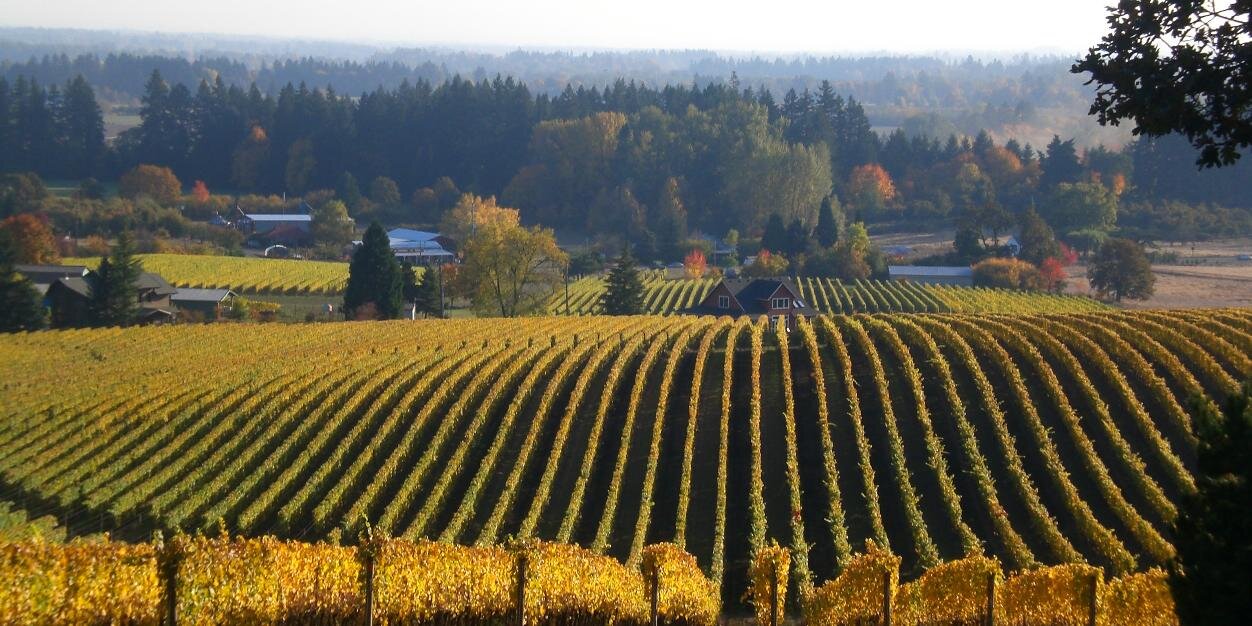 Portland Wine Bar banner
