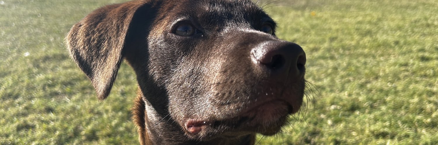 cubdnb's profile banner image