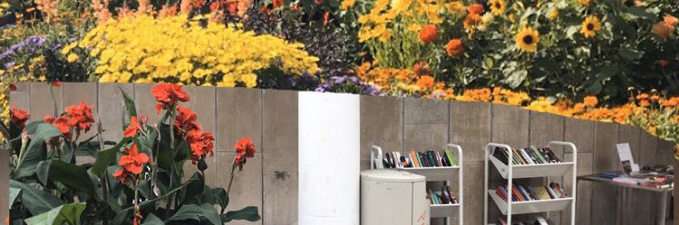hannekli's profile banner image