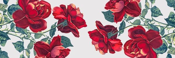rochipasserini's profile banner image