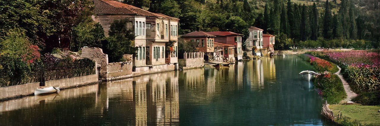 ebiscelik's profile banner image