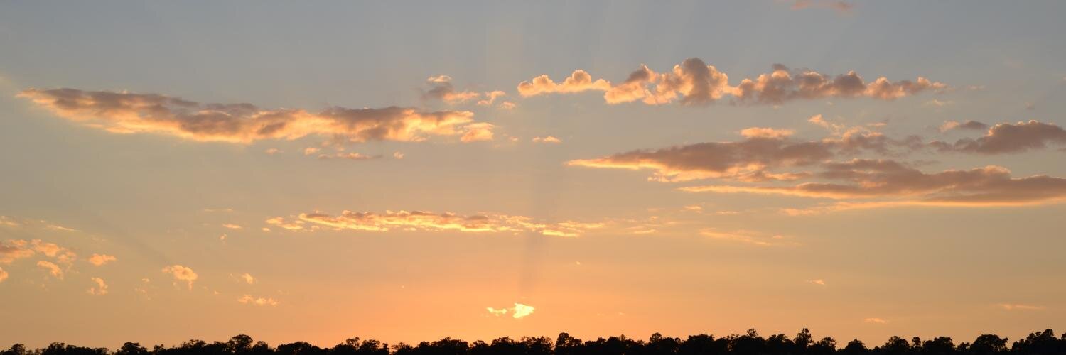 rinotti's profile banner image