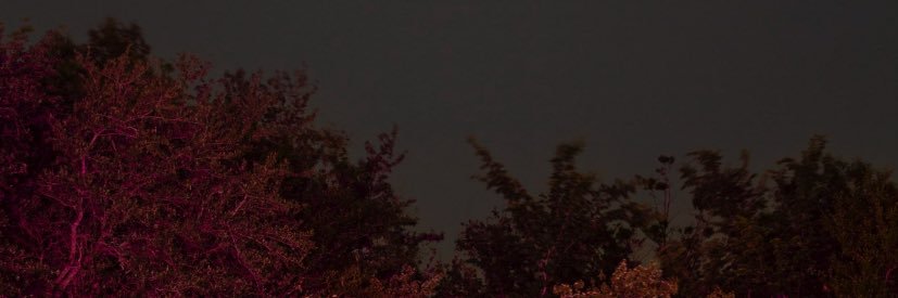 indigo_nectar's profile banner image