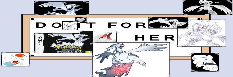 Traikelfaster *Reshiram Padorun`t* banner