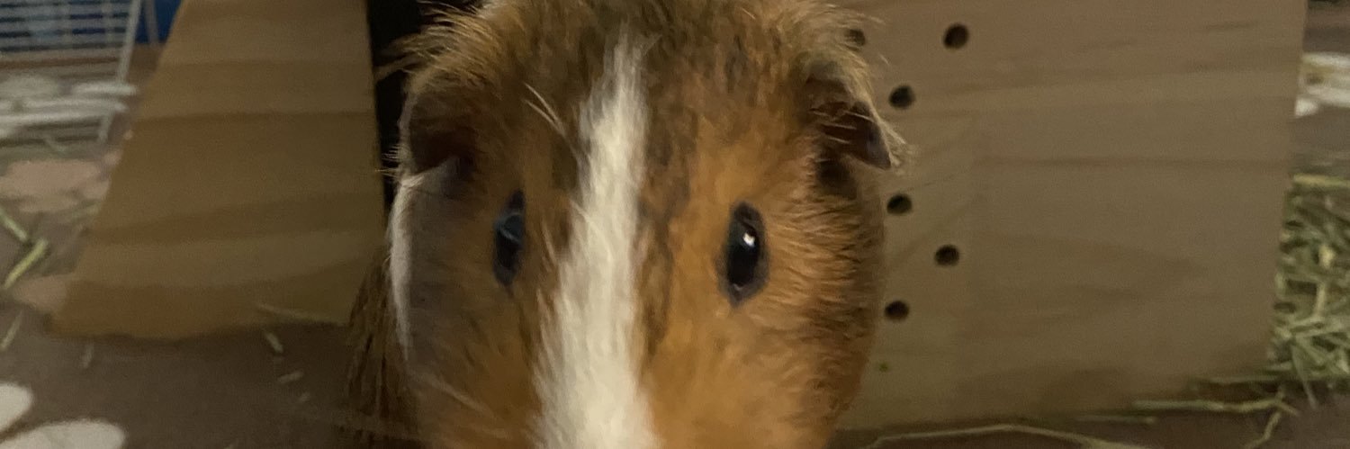 breannuhhhh's profile banner image