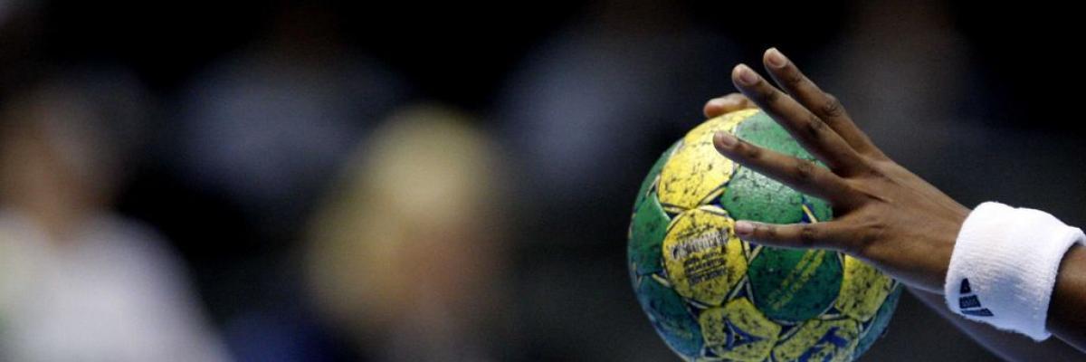 Delegación Provincial de Balonmano de Salamanca banner