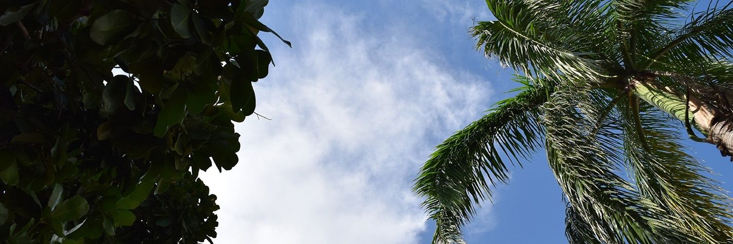 CMorenoWendy's profile banner image