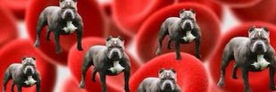 leathleyo's profile banner image