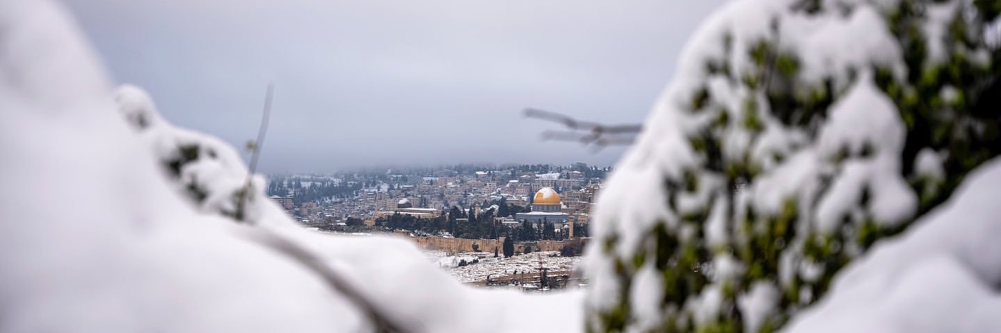 Muhammad Smiry 🇵🇸's banner