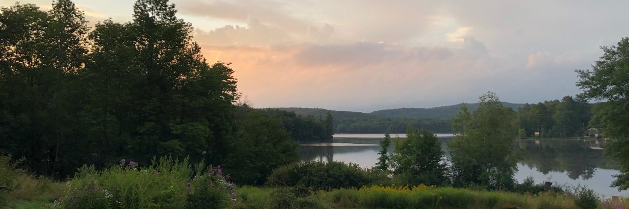 SharonSpauldin's profile banner image