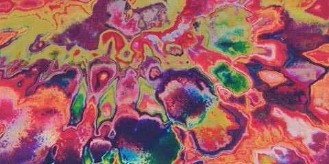 vegepolla's profile banner image