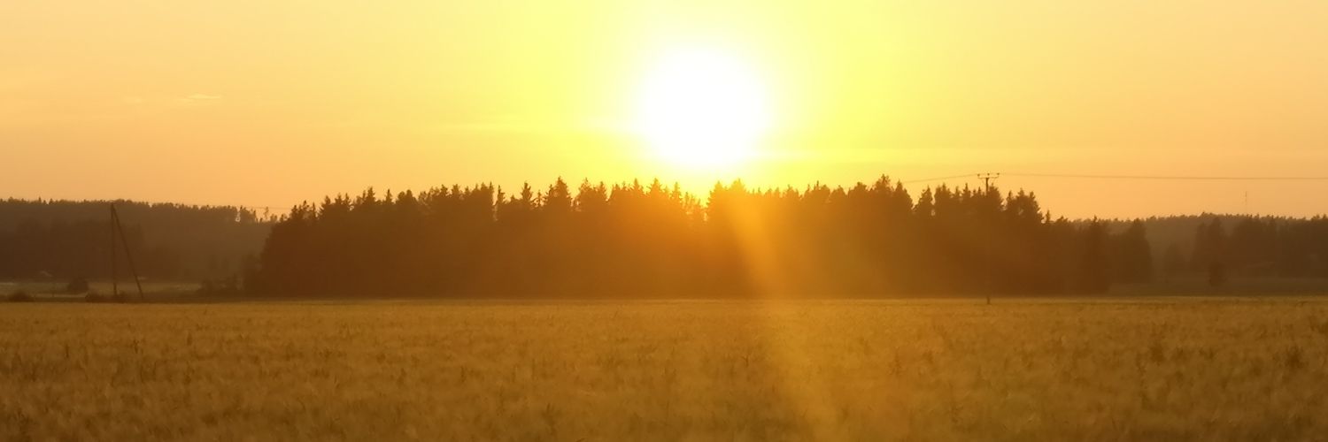 pipsaleena's profile banner image