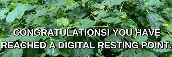 JoelBeet Profile Banner