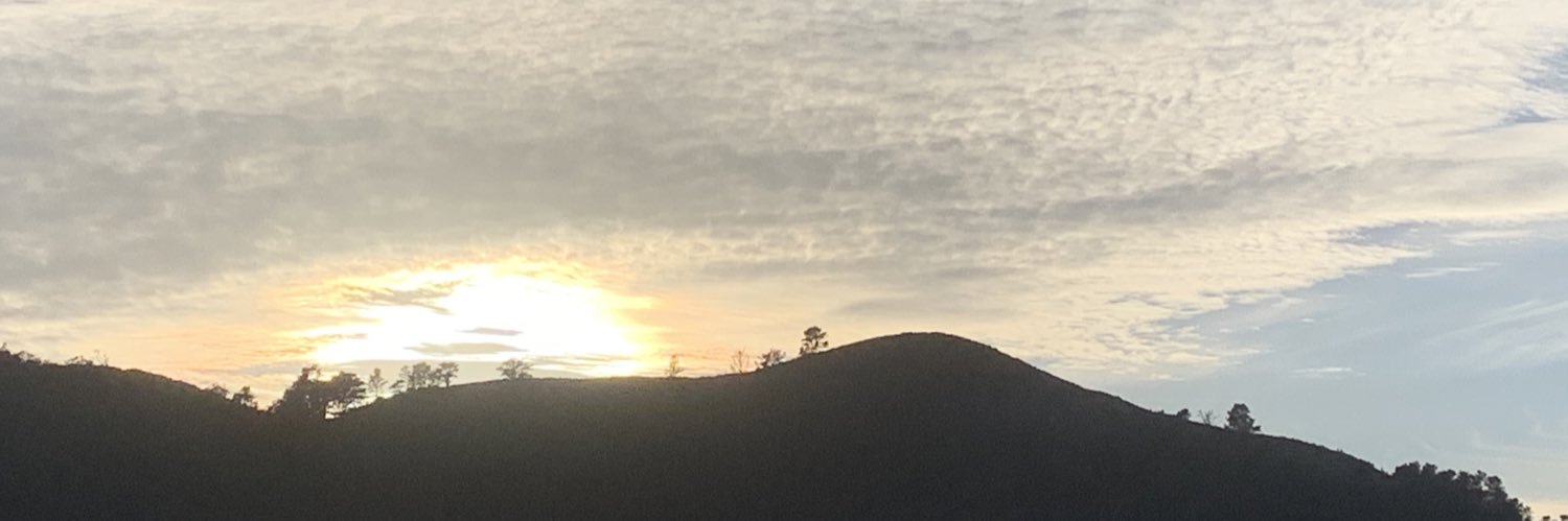MicheleKlaus's profile banner image
