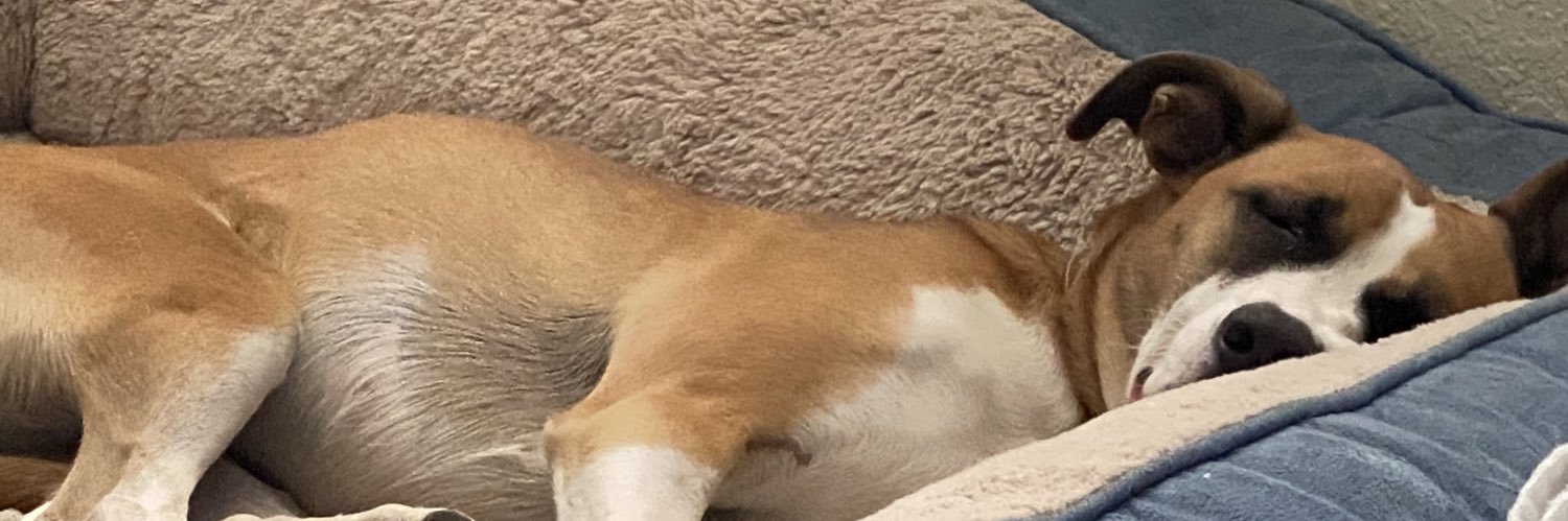 alyssarenee____'s profile banner image