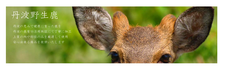 EGcycle's profile banner image