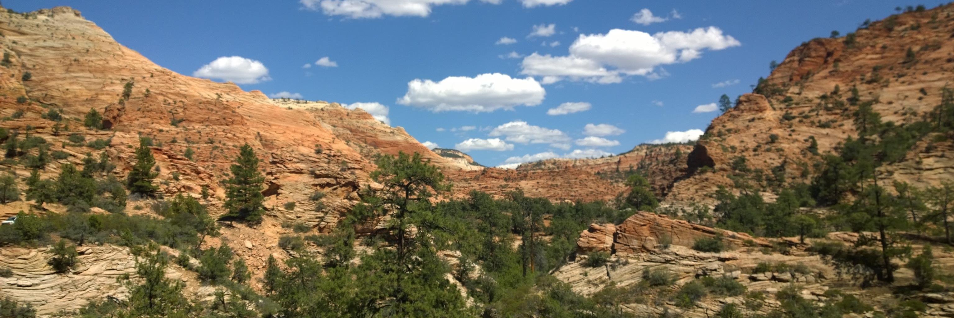 Toni Pohl ☁️🛵🇺🇦☮️ banner