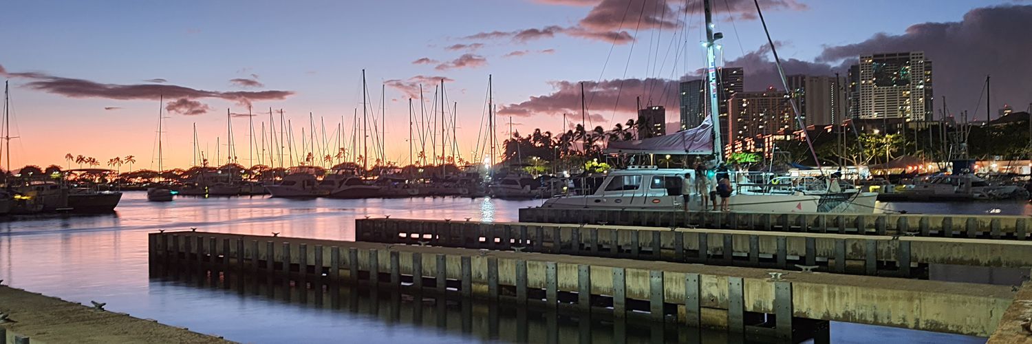 William Sánchez banner