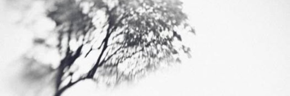 natrova's profile banner image