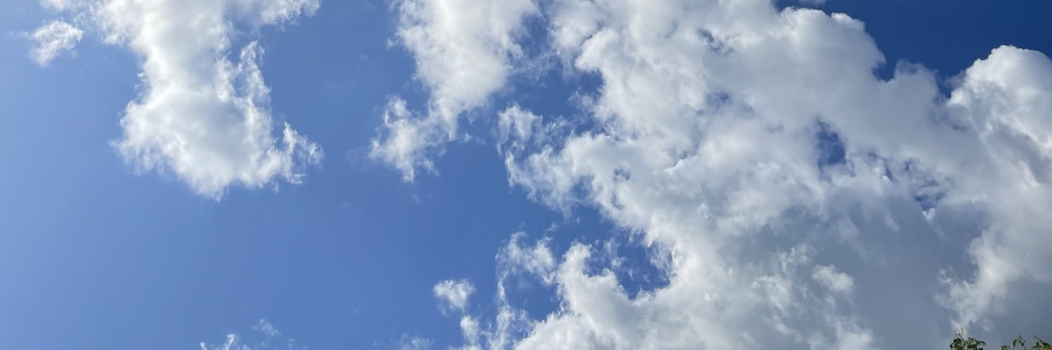 { :Dånn¥• } banner