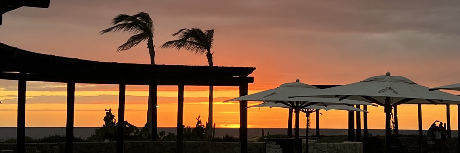allison_ewers's profile banner image