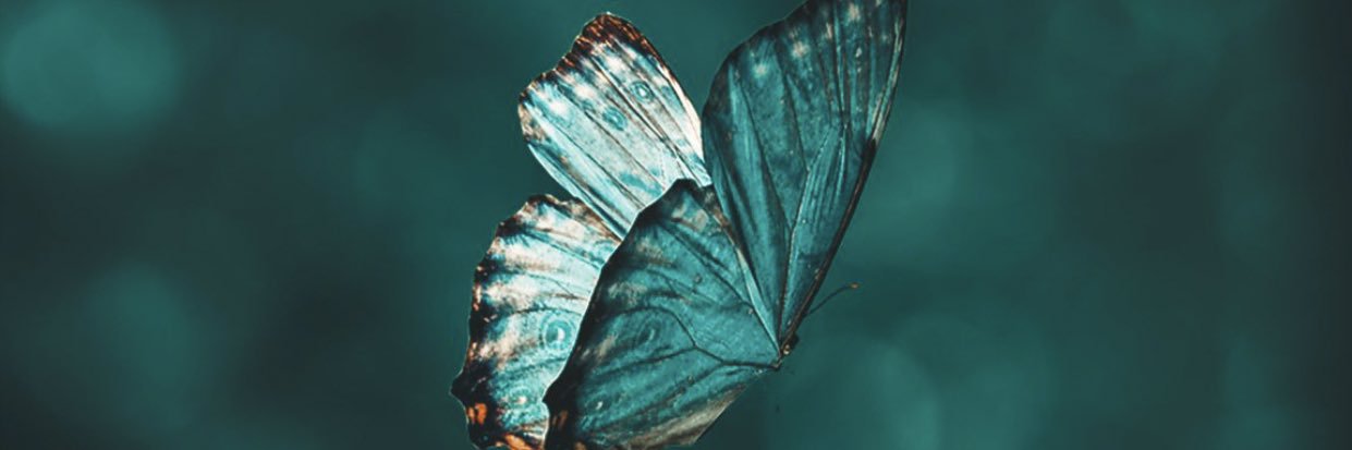 agusstinal's profile banner image