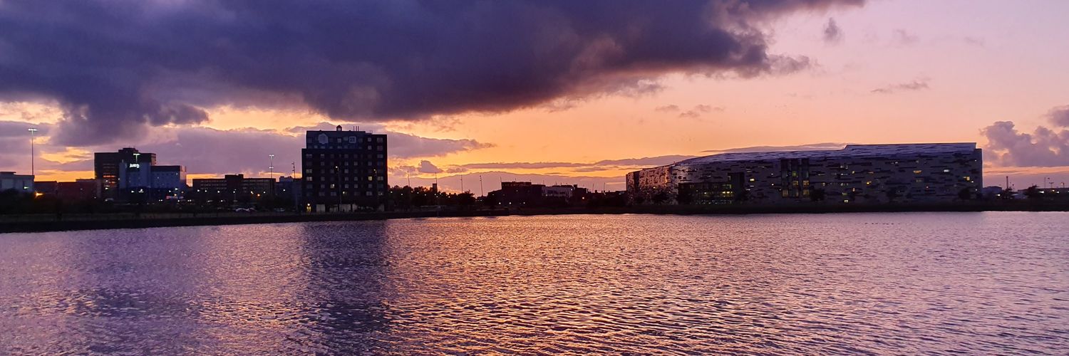 BoroLookingIn's profile banner image