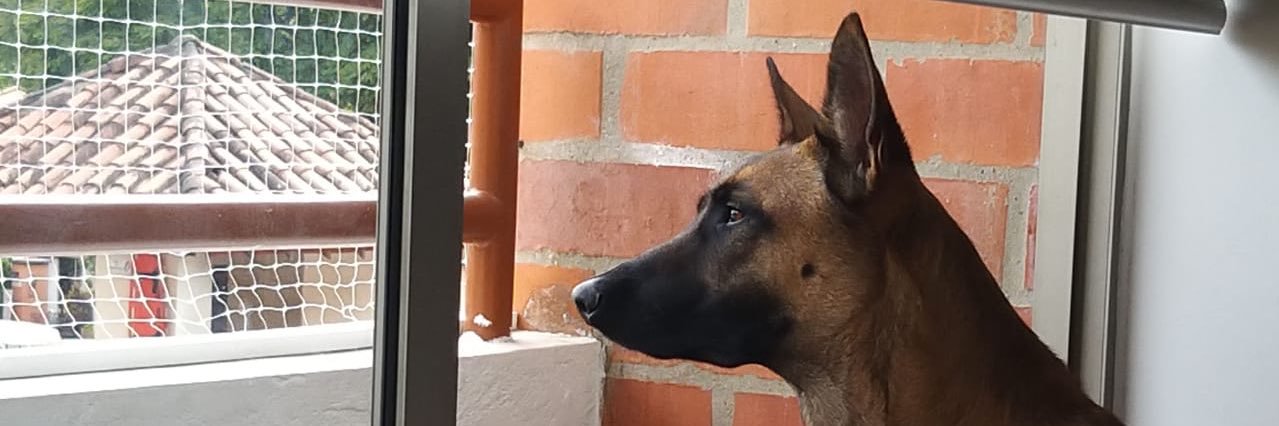 frankalexmor's profile banner image