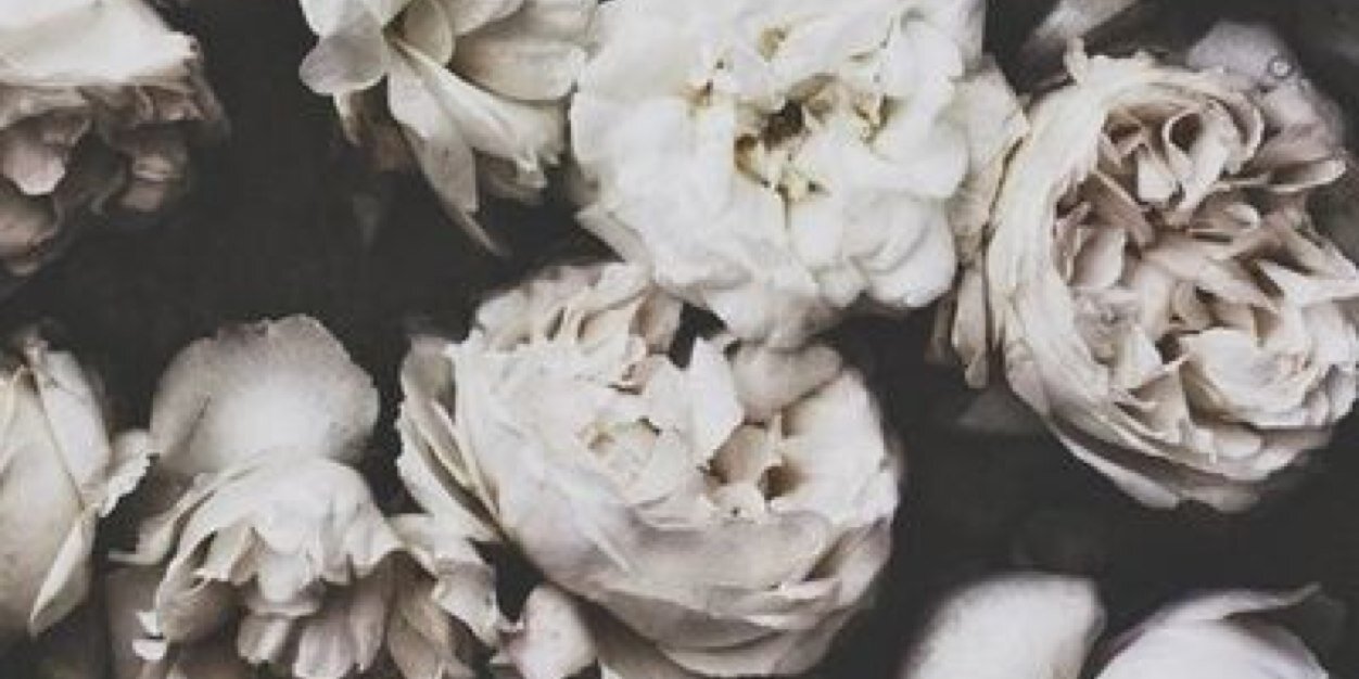 sanjy_k's profile banner image